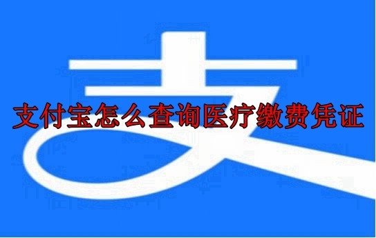 支付宝医保余额怎么查询？支付宝医保余额是个人账户的钱吗？