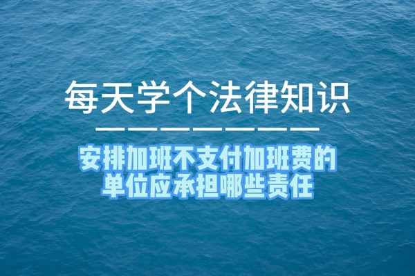 如何找到金牌卖家申请入口？需要满足哪些条件？
